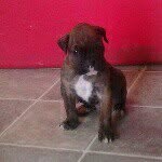 java browne - @java.browne - Instagram