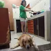 javanoea_kitchen - @javanoea_kitchen - TikTok