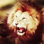 Javan Lee - @javan.lee - Instagram