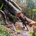 Javan Lee-Lo - Facebook