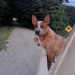 Javan Miller - @javan_isaiah - Instagram