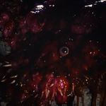 Javan Smith - @b_o_r_n_o_f_o_s_i_r_i_s - Instagram