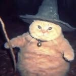 Theodore Javan Wilson - @wizardcat183 - Instagram
