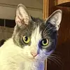 JDms123456789 - @javariandmizsmith - TikTok