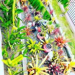 javaughn & Jeffery Johnson - @js_landscaping_services - Instagram