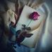 Javed Ahmed - Facebook