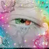 Javed Ashiq - @javedashiq0 - TikTok