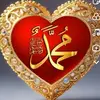KING - @javedawan_007 - TikTok