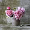 Javed Bhatti - @jawad.iqbal013 - TikTok