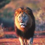 Javed Bukhari - @javed.bukhari.31508 - Instagram