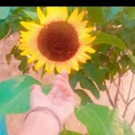 ali - @javed_chaudhry.__ - Instagram