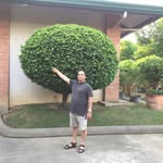 Javed Cheema - @javedcheema1.jc - Instagram
