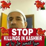 javedCheema - @javed.cheema.20201974 - Instagram