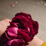 Rehma Javed Dar - @rehmajaveddar - Instagram
