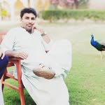 Javed Haider - @javed__haider - Instagram