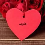Javed Haider - @javed.haider.12914 - Instagram
