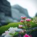 Javed hayat - Facebook