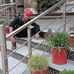 Javed Hayat - Facebook