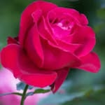 javed ikbal sheikh - @javedikbalsheikh - Instagram