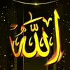 javed.Islamic - @javed.islamic - TikTok