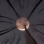Mohammad Javed - Facebook