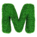 Javed Mughal - @javed.mughal.9847 - Instagram