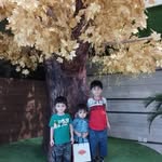 Javed Nazir - @javednazir33 - Instagram