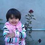 Javed Nazir - @javednazir111 - Instagram