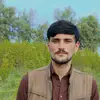 noori - @javednoori313 - TikTok