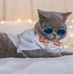 Aisha Abdullah Godil - Facebook