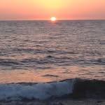 Javed Rashid - @javedrashid.rashid.3 - Instagram