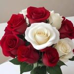 Javed Rehman - @javedrehman_07 - Instagram
