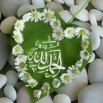 Javed sofi - @javedsofi3 - Instagram