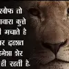 Javed Uddin - @javeduddin29 - TikTok