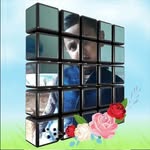 Javed Vhora - @javed.vhora.9235 - Instagram