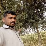 Javed Virk Iqbal Virk - @javedvirkiqbalvirk - Instagram
