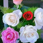 Javed Yunusi - @javedyunusi - Instagram