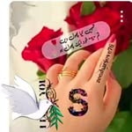 Javeed Iqbal - @javeediqbal6395 - Instagram