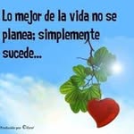 Javier Alegria - @javier.alegria.1232 - Instagram