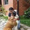 Javier Alegria - @javier.alegria27 - TikTok