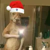 Javi 701 🇲🇽💯⚽ - @javier.alejandro238 - TikTok