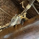 Javier Almanza - @javi.au.37 - Instagram