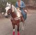 Javier Rodriguez Almanza - Facebook