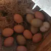 JAVIER.  AMBRIZ 67 - @javier.magana85 - TikTok