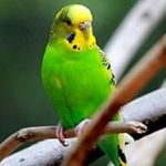 Javier Ambriz - @javier.ambriz.528 - Instagram