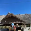 Javier Avelar - @javier.avelar30 - TikTok