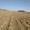 javieravelar37 - @javieravelar37 - TikTok