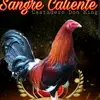 Gallos Javier Aviles - @gallosjavieraviles - TikTok
