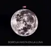 Javier Aviles - @javier00926 - TikTok