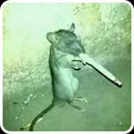 Javier Bailey - @xavi_ty_cobain_lil_bro - Instagram